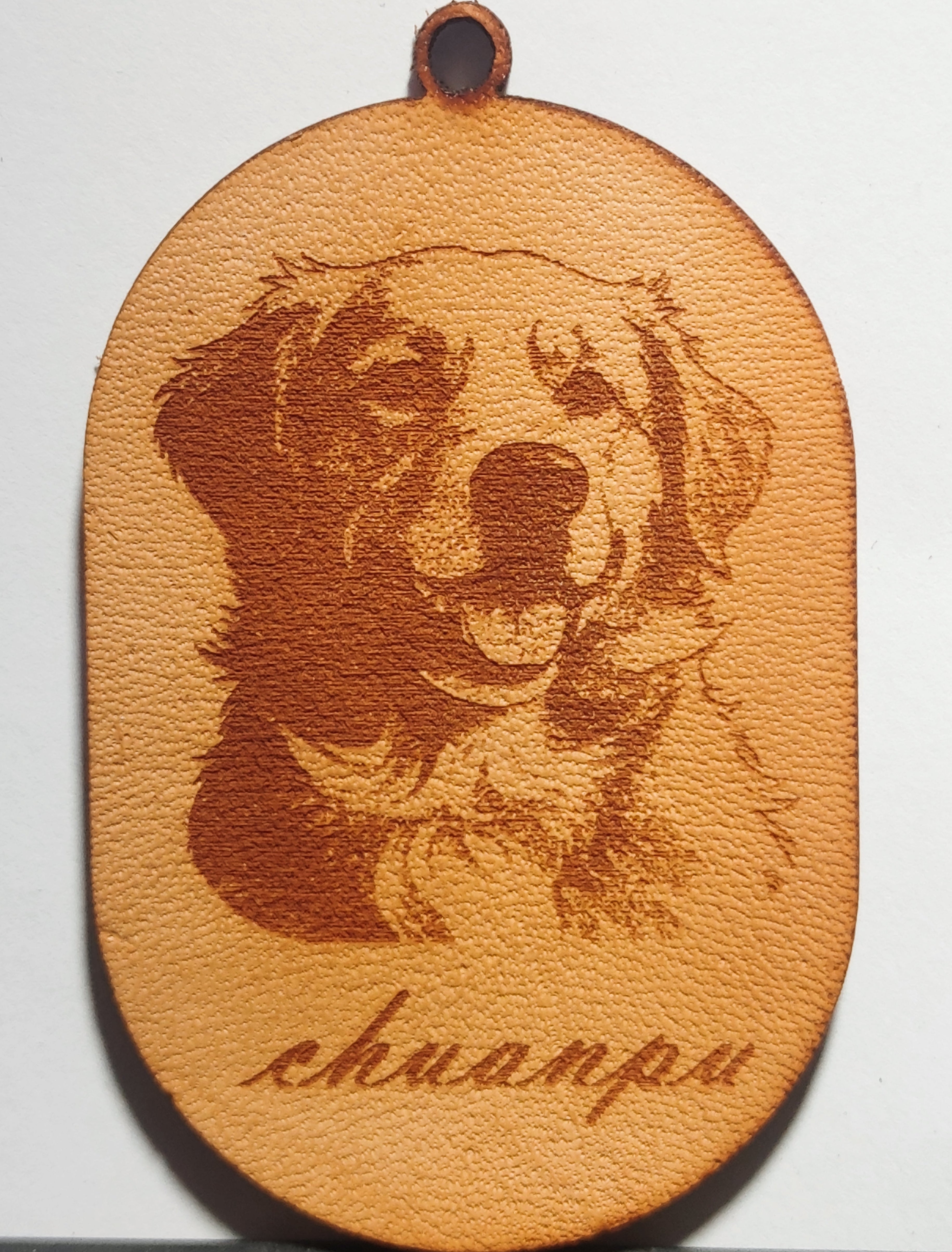 Custom Pet Portrait Tag — Cartoon Line Art Engraved Leather ID Tag